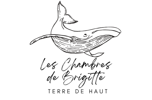 LES CHAMBRES DE BRIGITTE